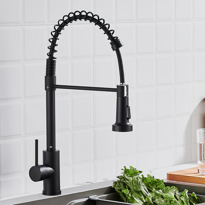 3-in-1 Kitchen Pull-Out Faucet