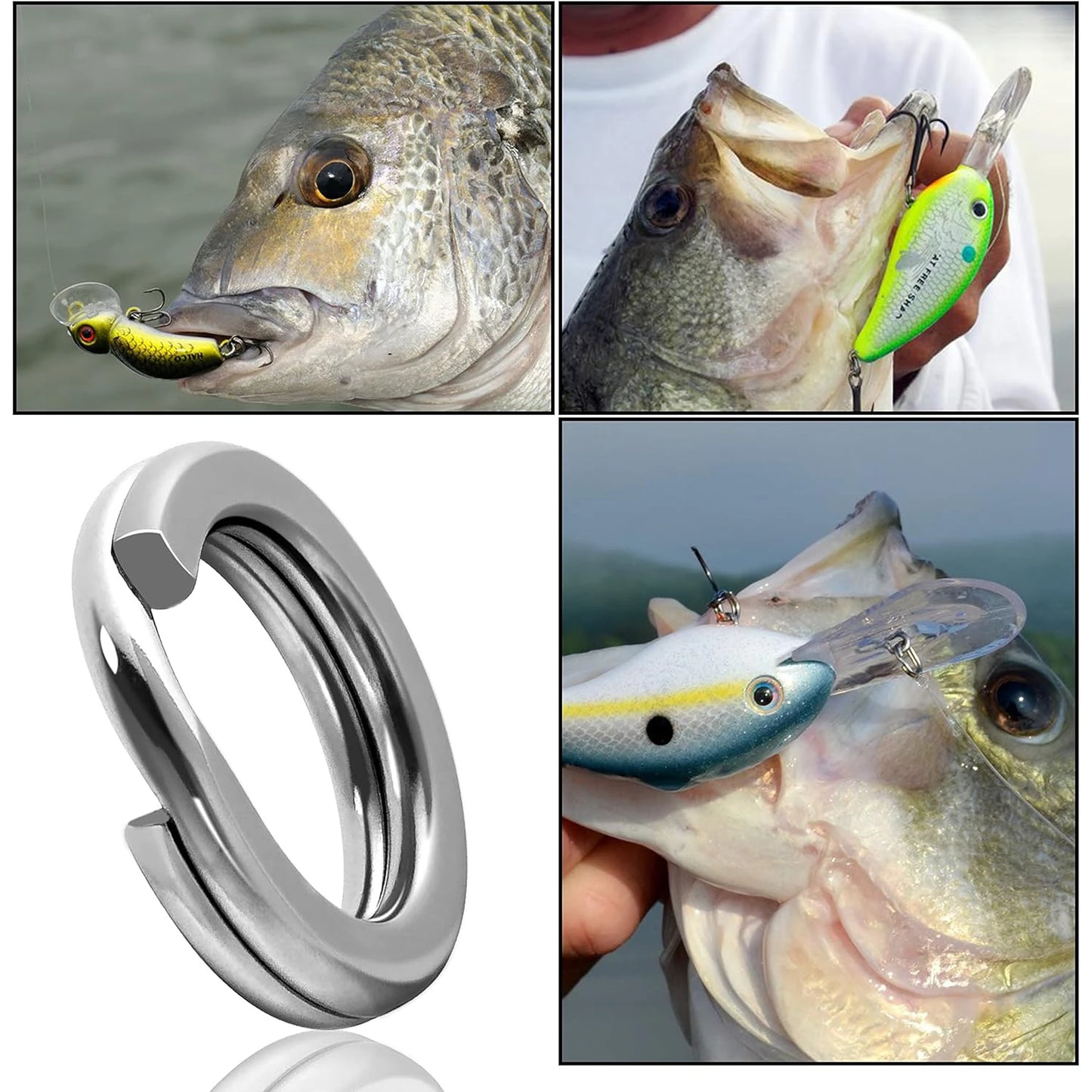 Fishing Stainless Steel Split Rings