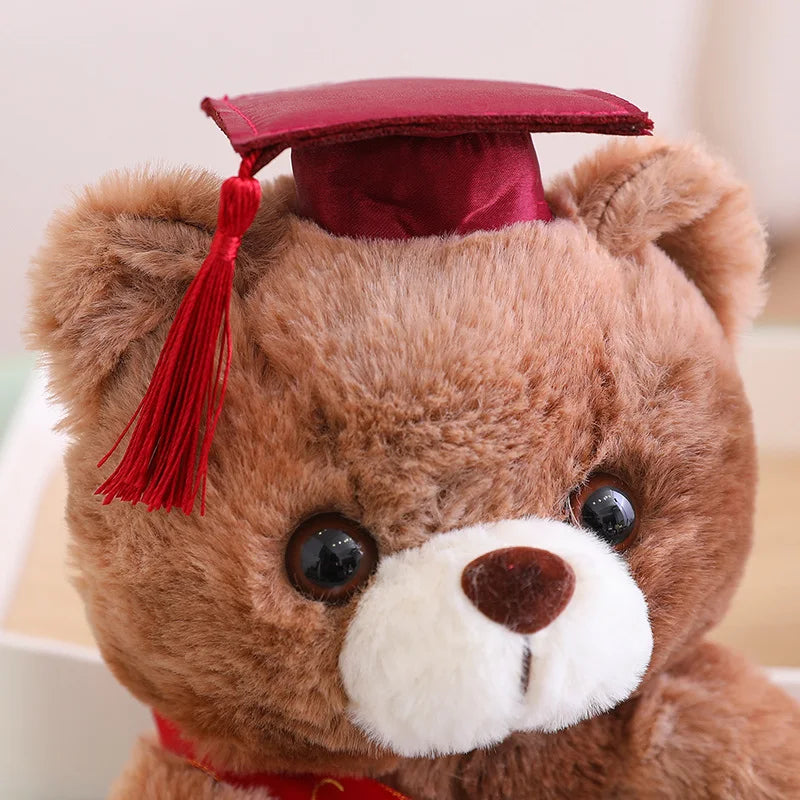 23cm Graduate Bear With Hat